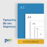 Quadro com Acetato - A3 2
